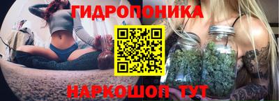 mdpv Краснодар