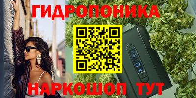 прущие крисы Краснознаменск