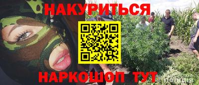 spice Краснокаменск