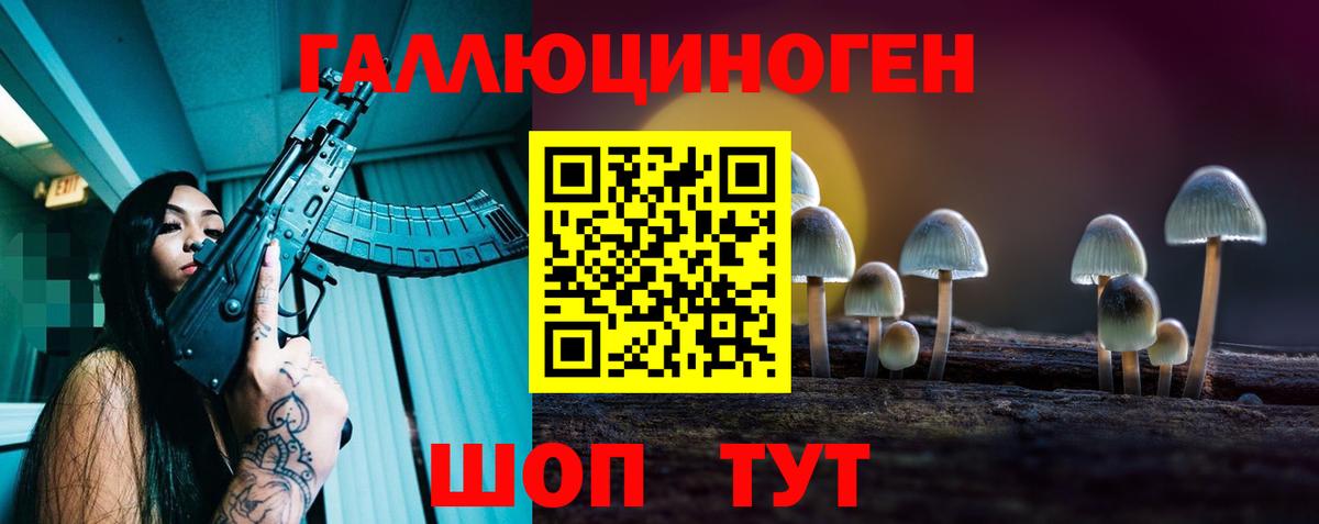 Псилоцибиновые грибы Psilocybine cubensis  цены наркотик  Зеленодольск  Вход с VPN 